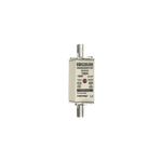 Fusible-NH000-gG-500V-100A---B219122