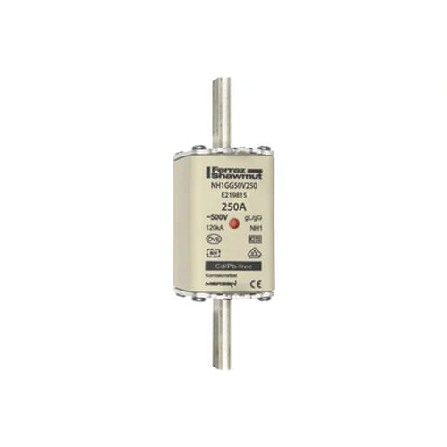 Fusible NH1 gG 500V 250A - E219815