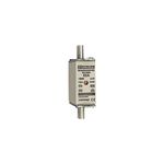 Fusible-NH000-gG-500V-63A---E213996