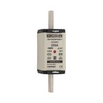 Fusible-NH1-gG-500V-250A---E218251---SGL