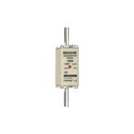 Fusible-NH0-gG-500V-160A---F223013